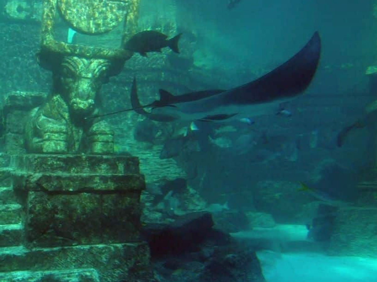 remains of mythical atlantis 