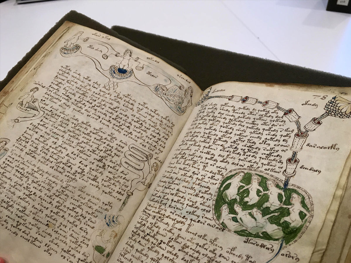 Voynich Manuscript on display