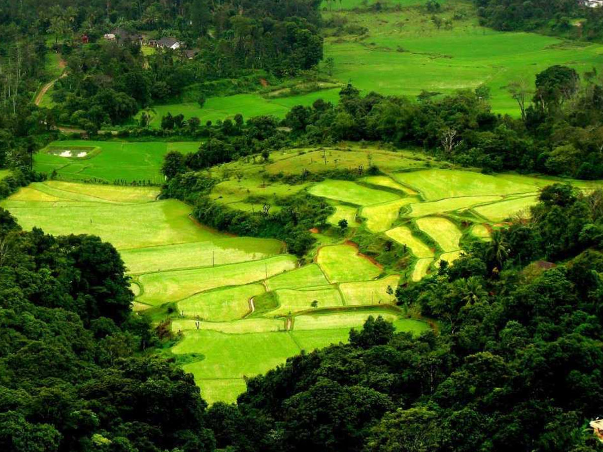 Stroll through the uncharted lush green lands Coorg