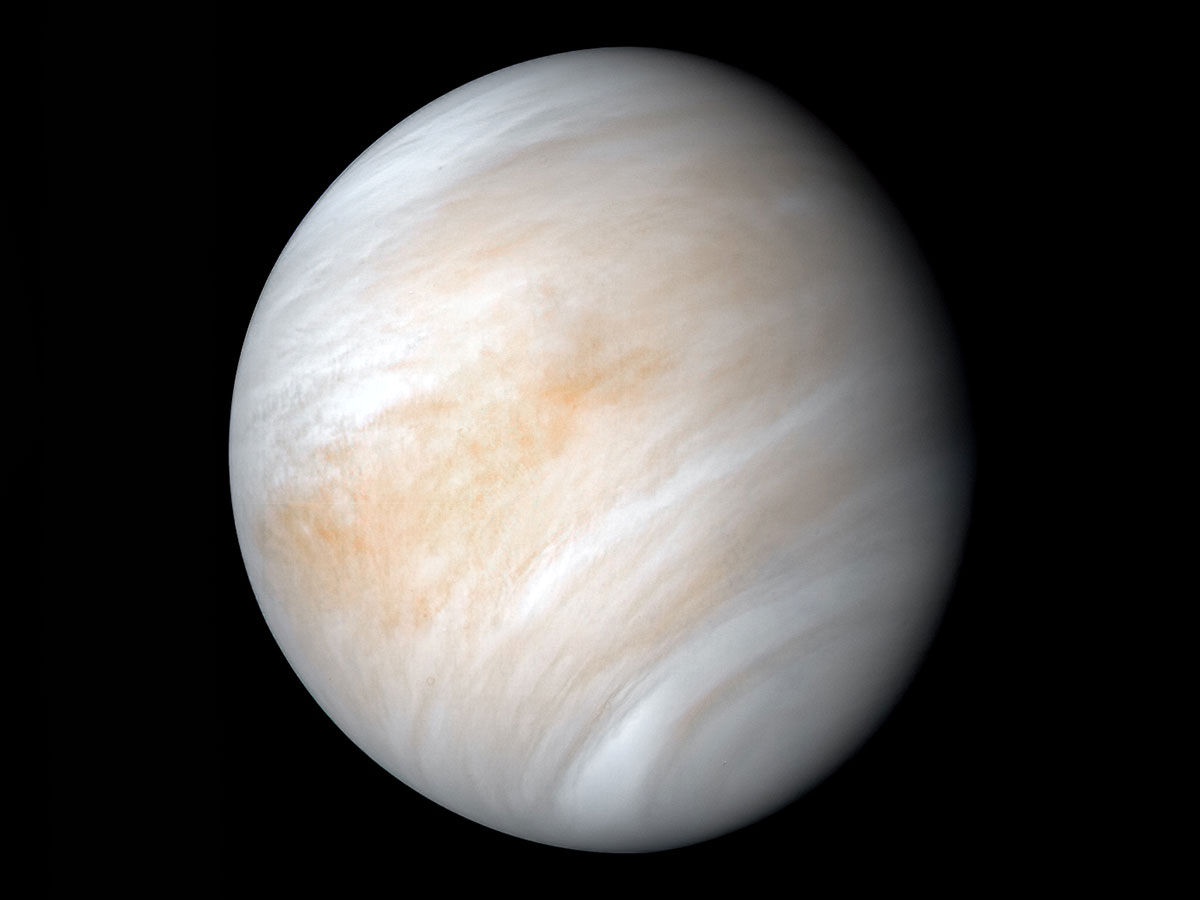 Venus the planet of life