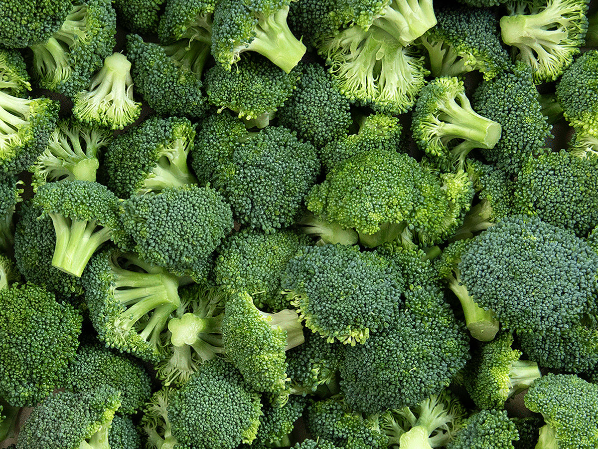 broccoli fiber