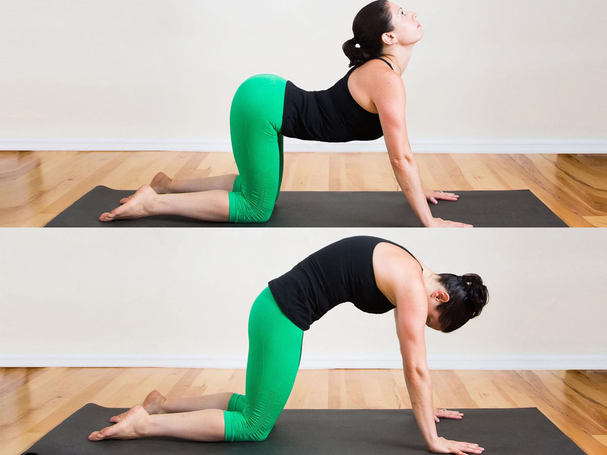 Cat-Cow Pose to aid lower back pain 