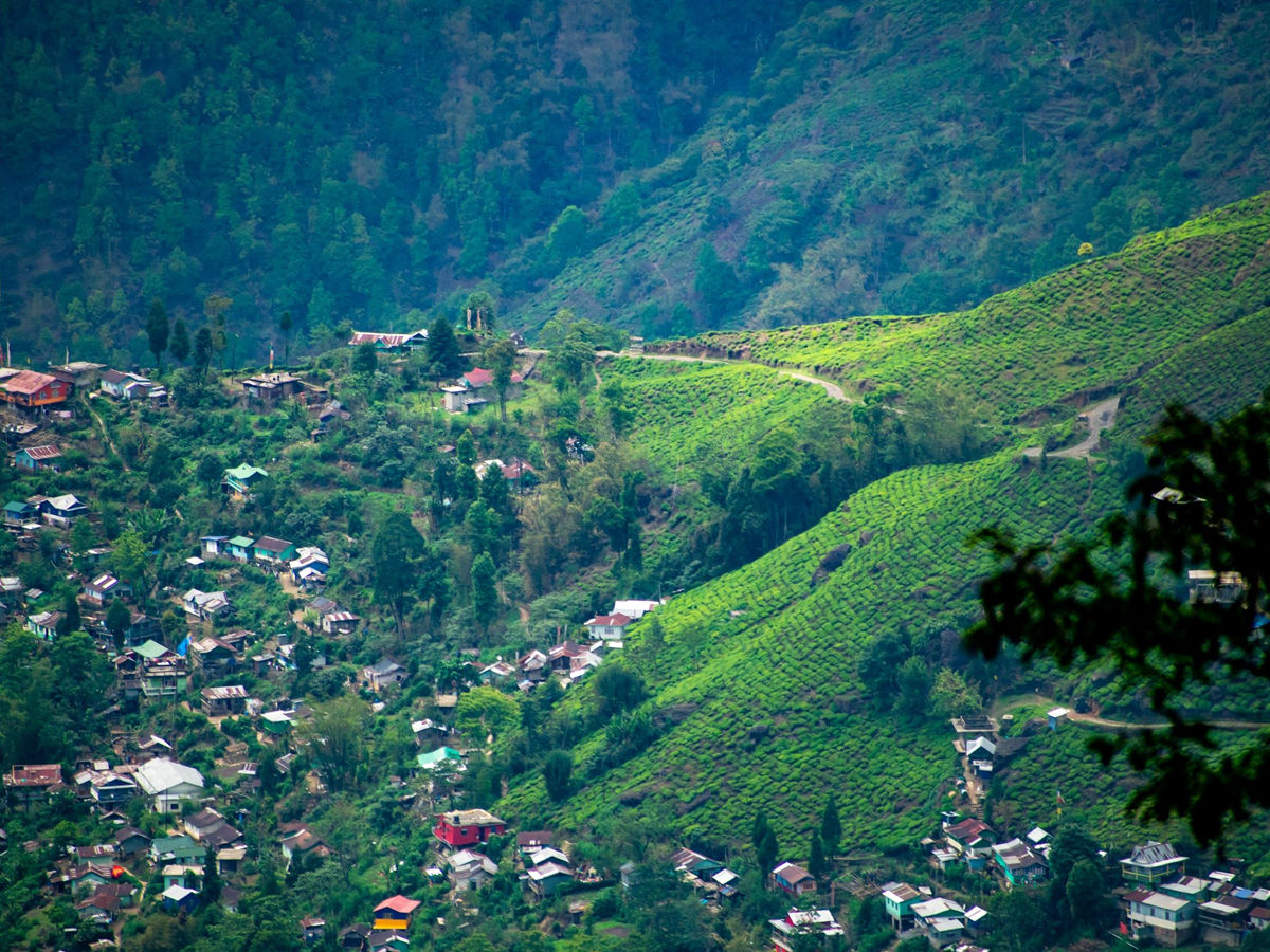 Darjeeling