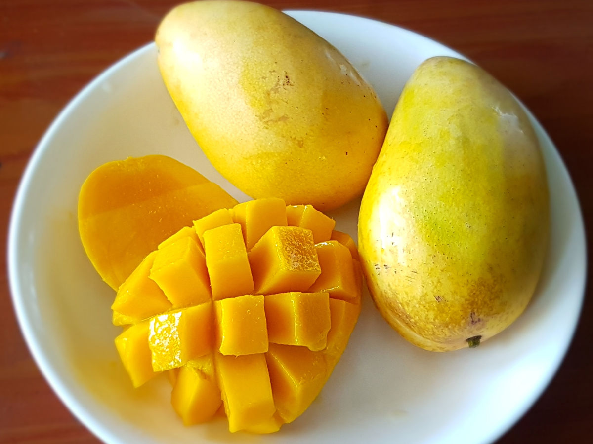 mango is very healthy 