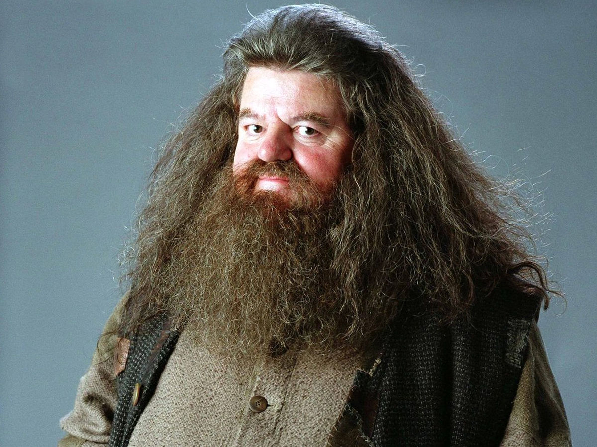 Robin williams as Hagrid 