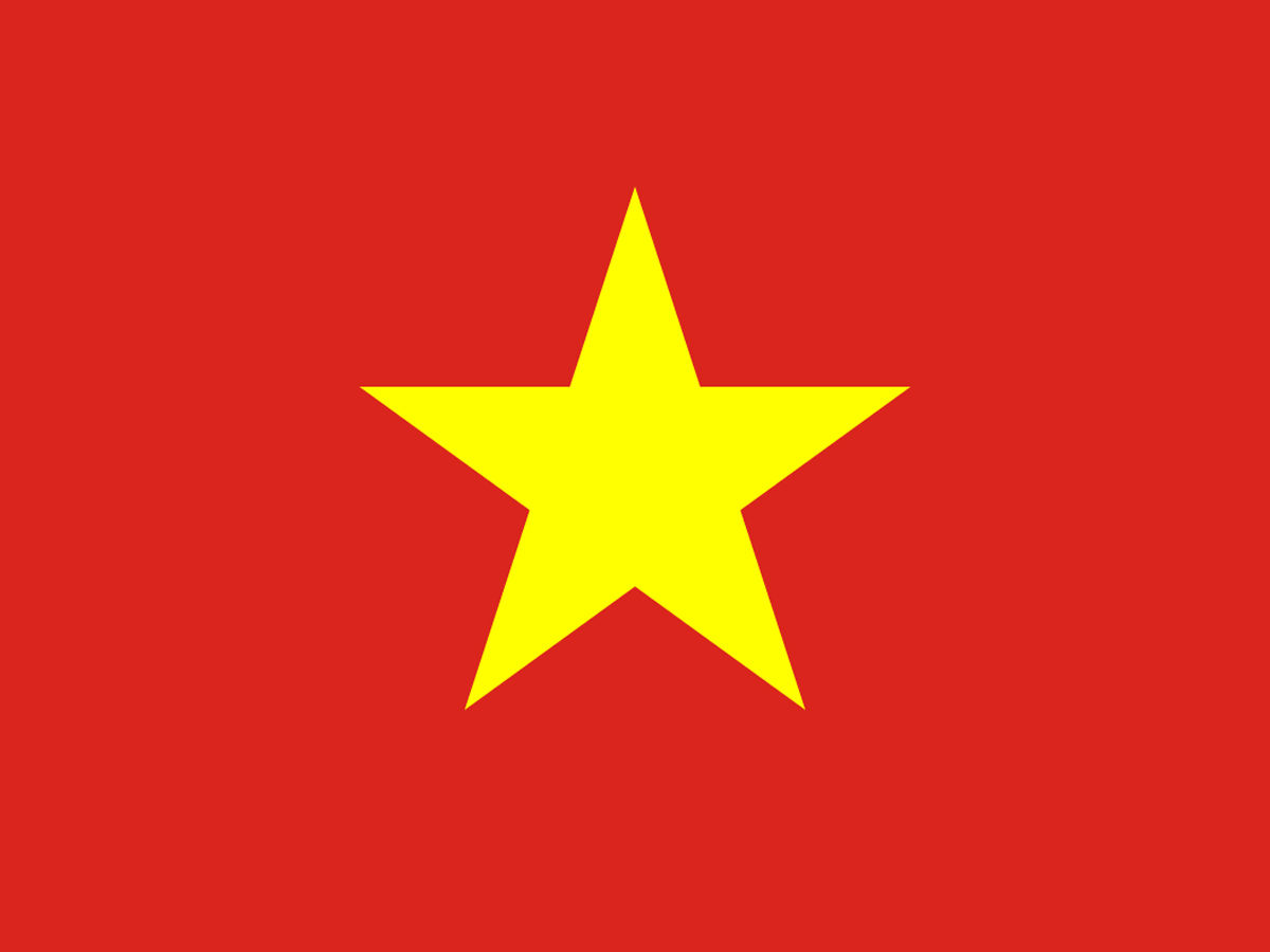 The Vietnam 