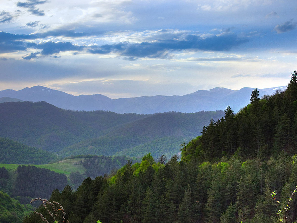 Dilijan National Park, Armenia 