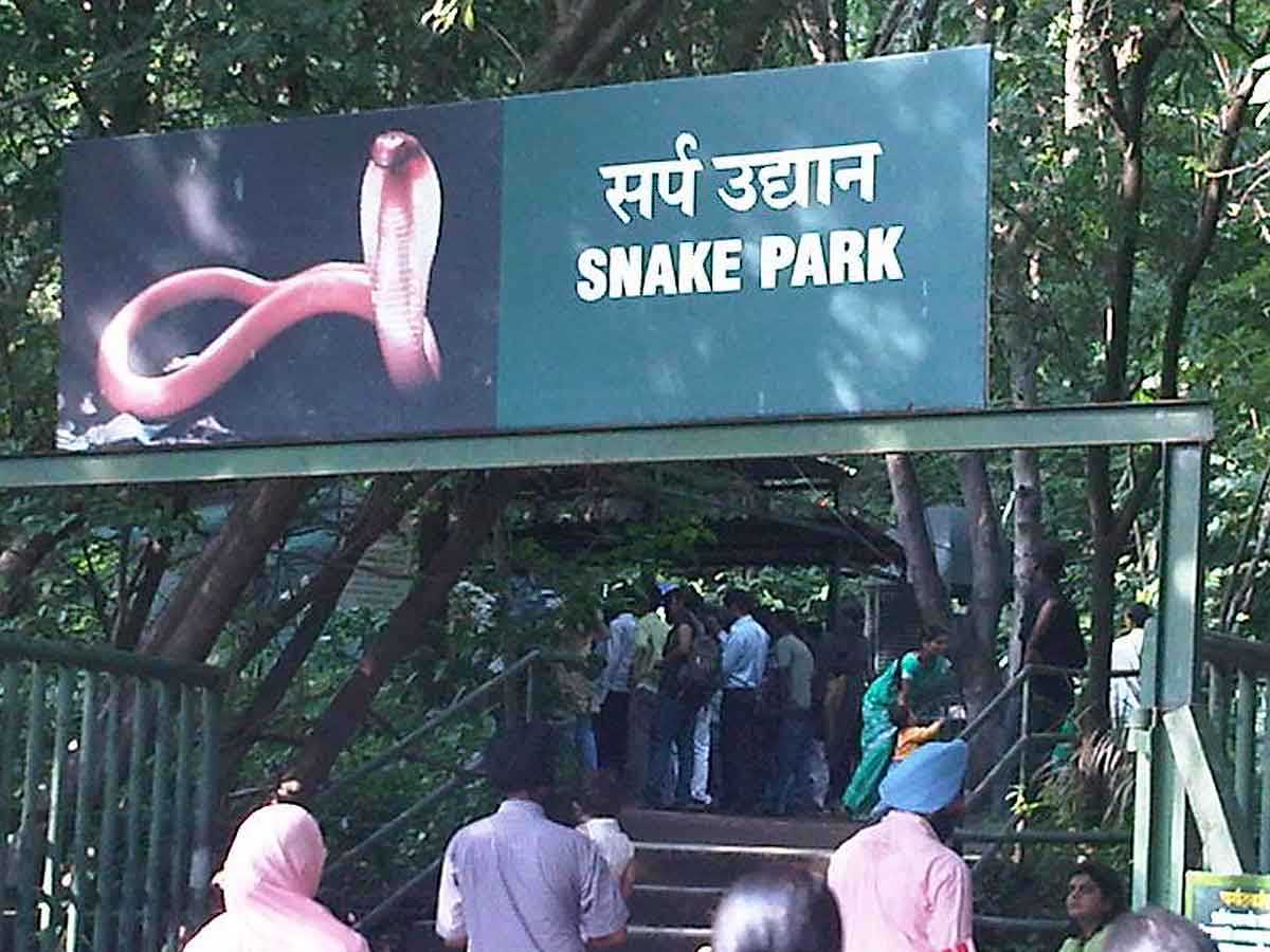 Katraj snake park