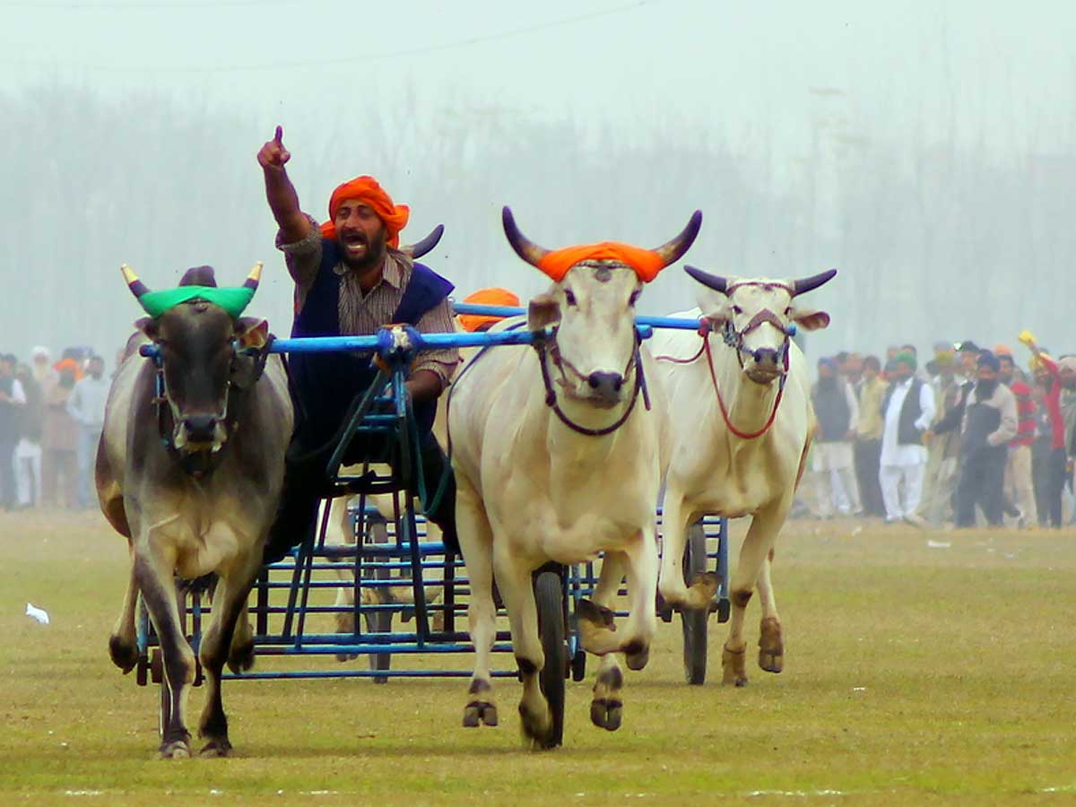 Kilapur Sports festival 