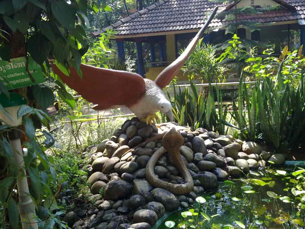 Parassinkkadavu Snake Park