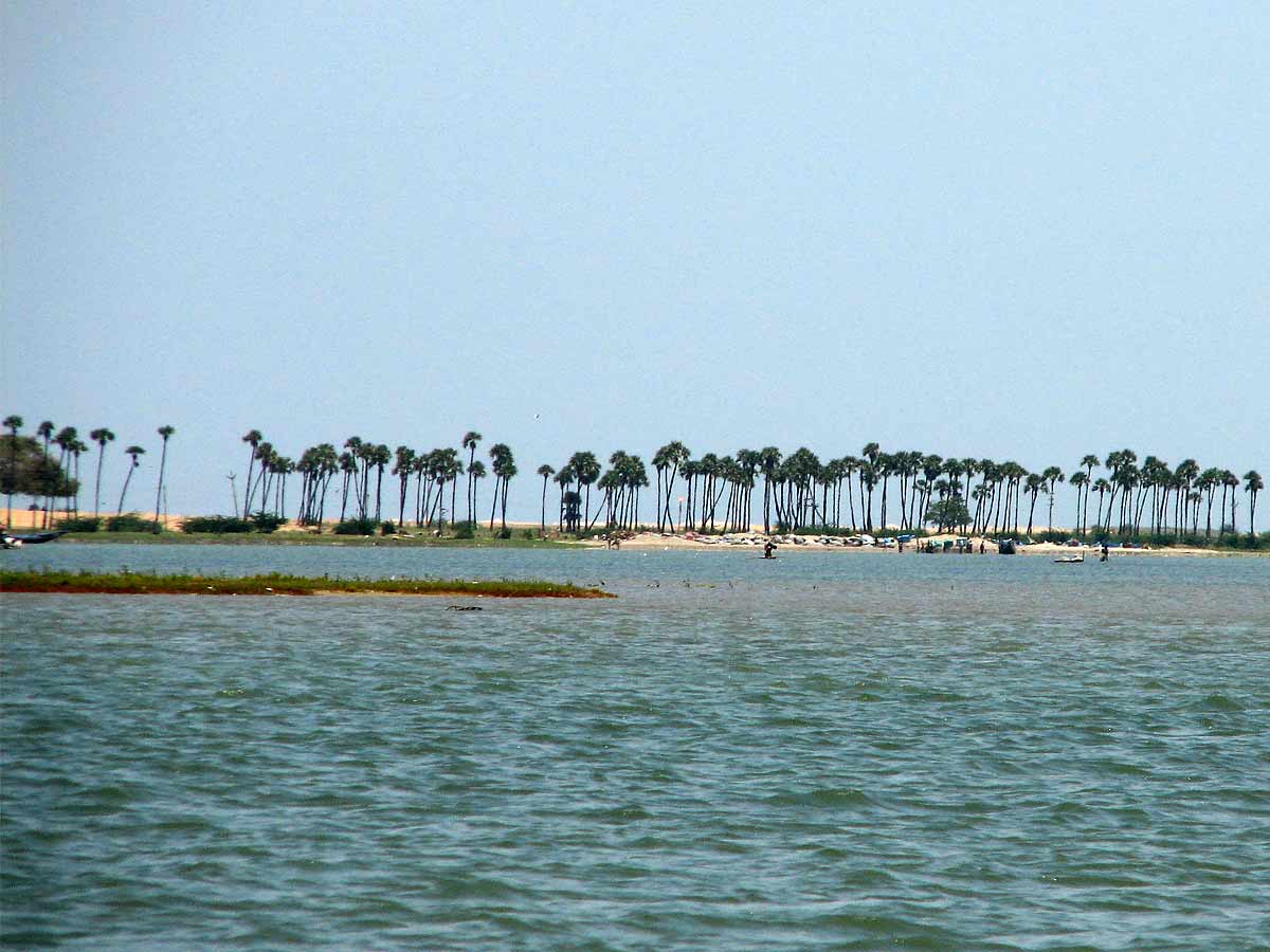 pulicat lake 