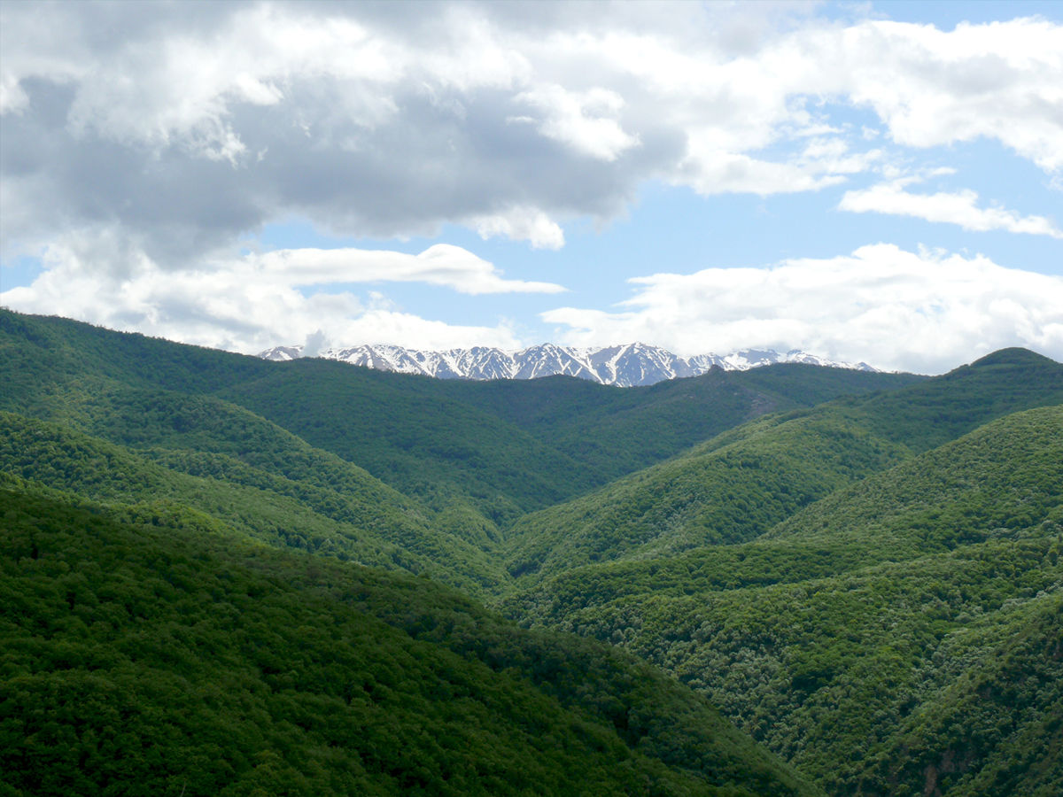 Shikahogh State Reserve