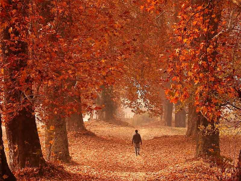 Autumn in Kashmir
