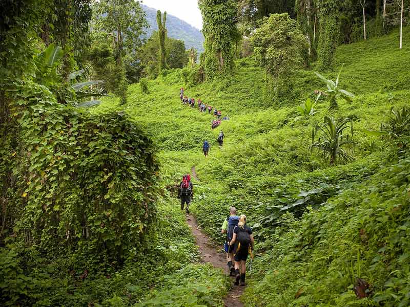 Treks in papua new guinea 