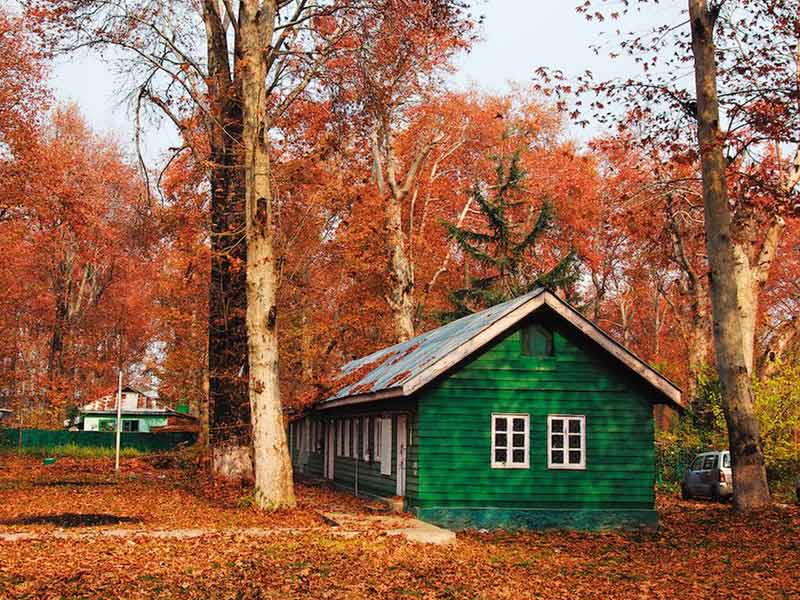 Autumn in Kashmir