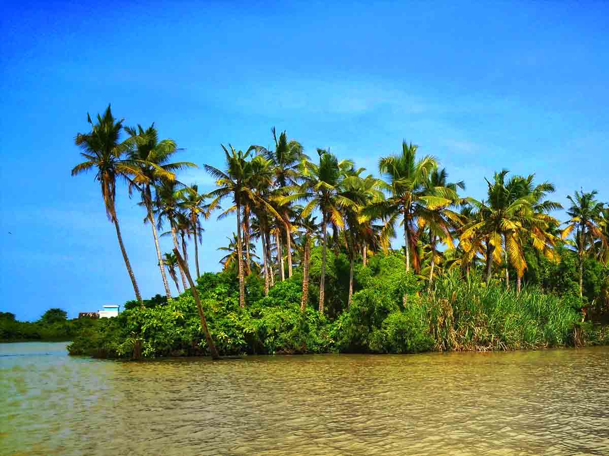 Pandy Island Kerala