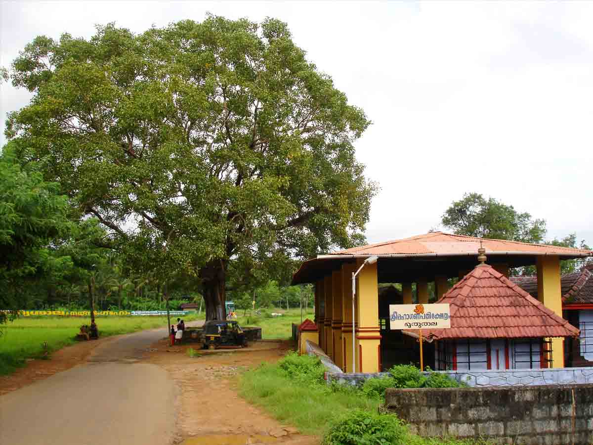 Triphala Village