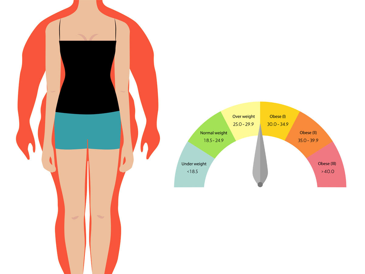 sugar leads to risk of obesity 