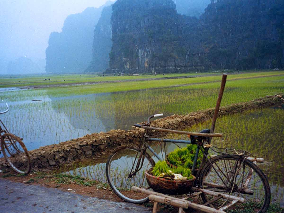 Climate issue in vietnam