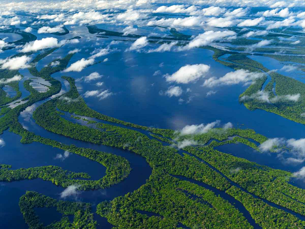 amazon river