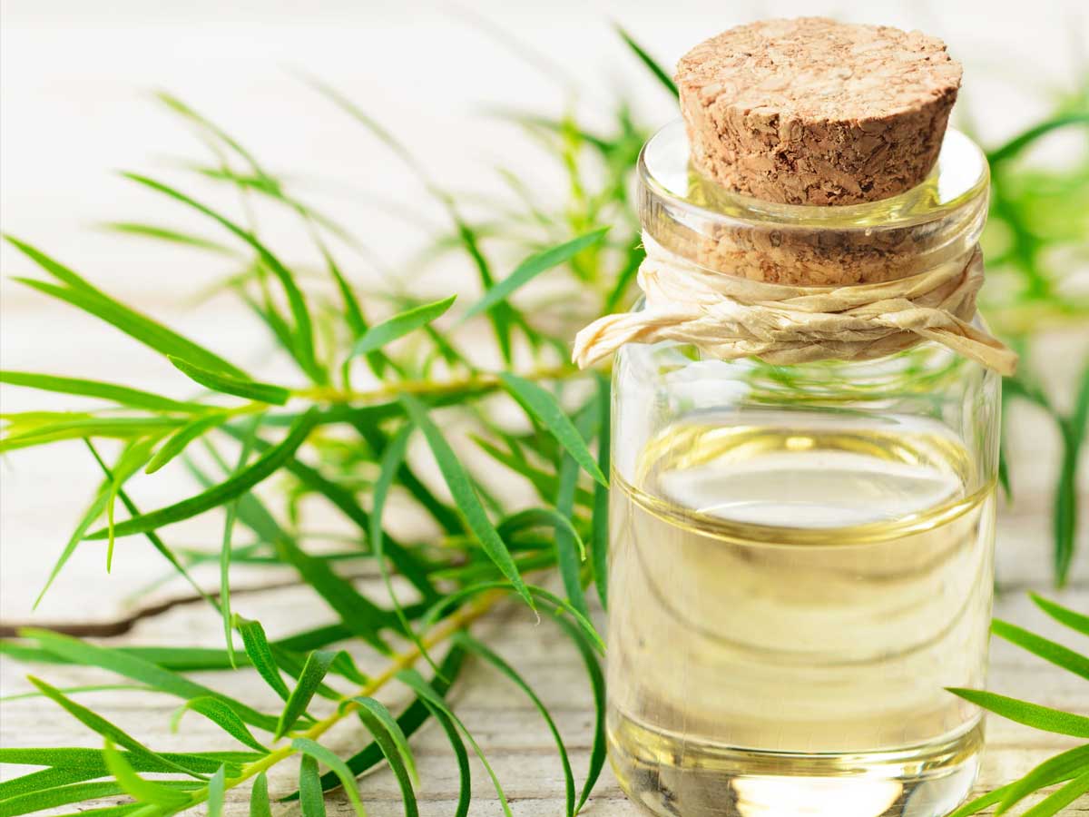 tea tree oil