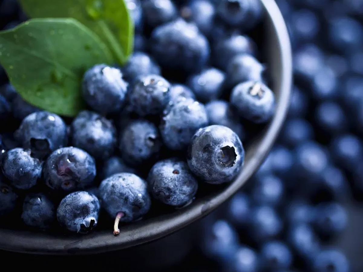 carbs in blueberries