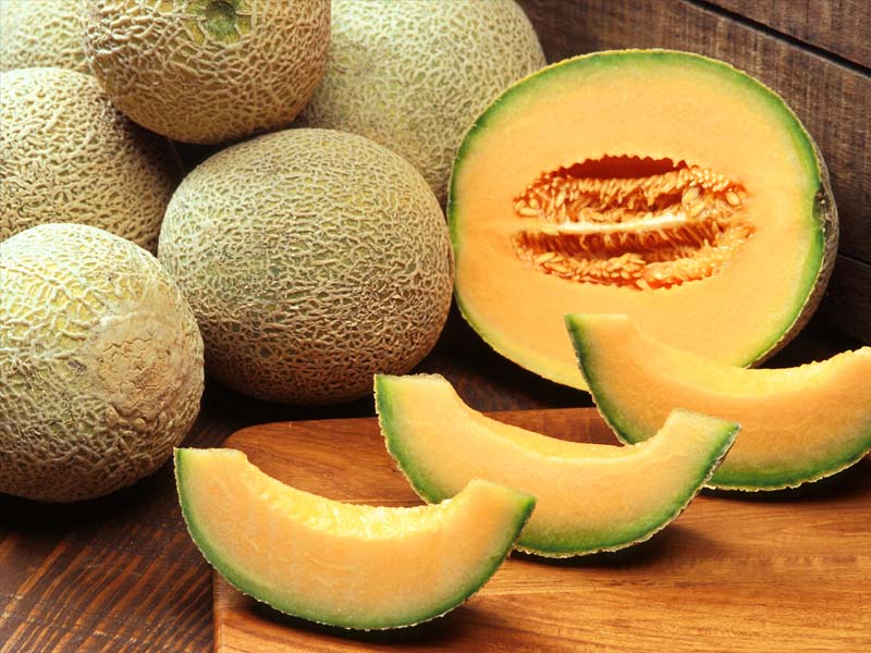cantaloupe