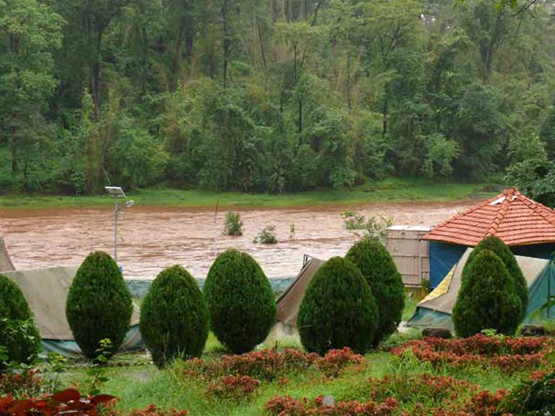 vansda national park