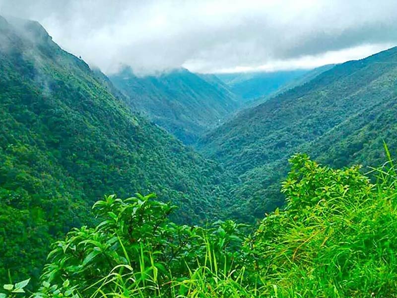 Green valley