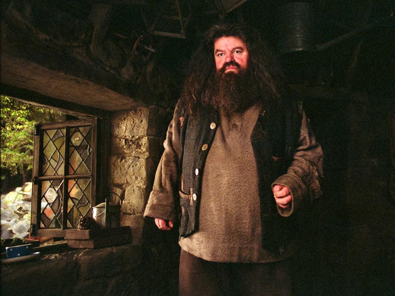 hagrid 