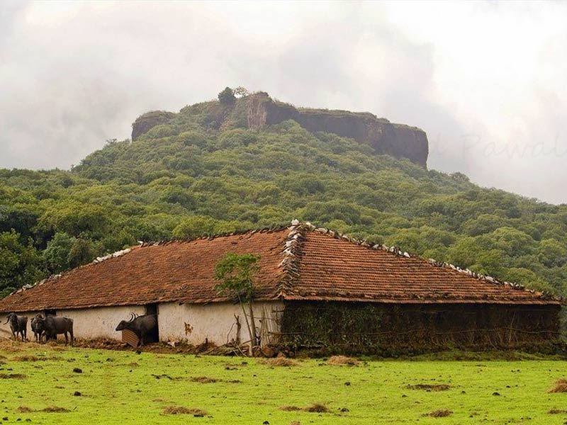 kamalgad fort