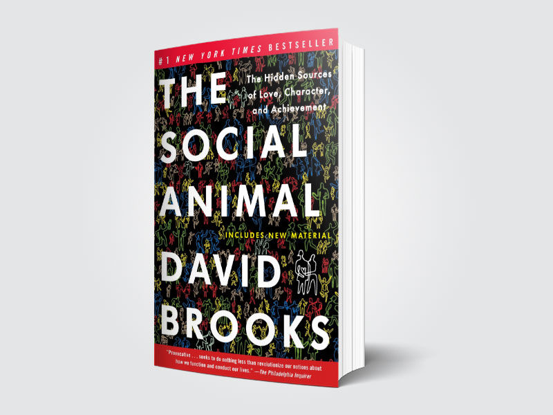 the social animal, man social animal