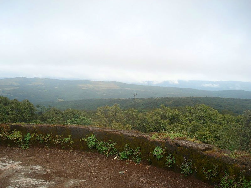 wilson point 