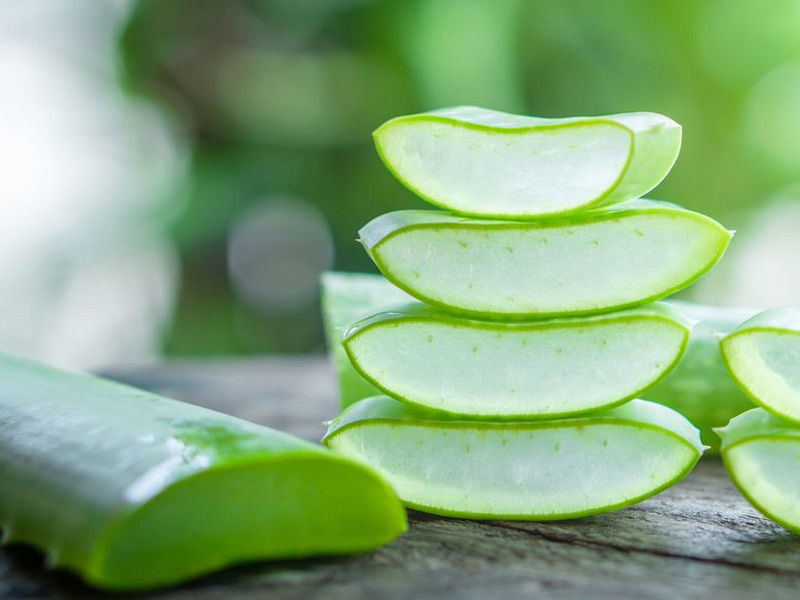 aloe vera
