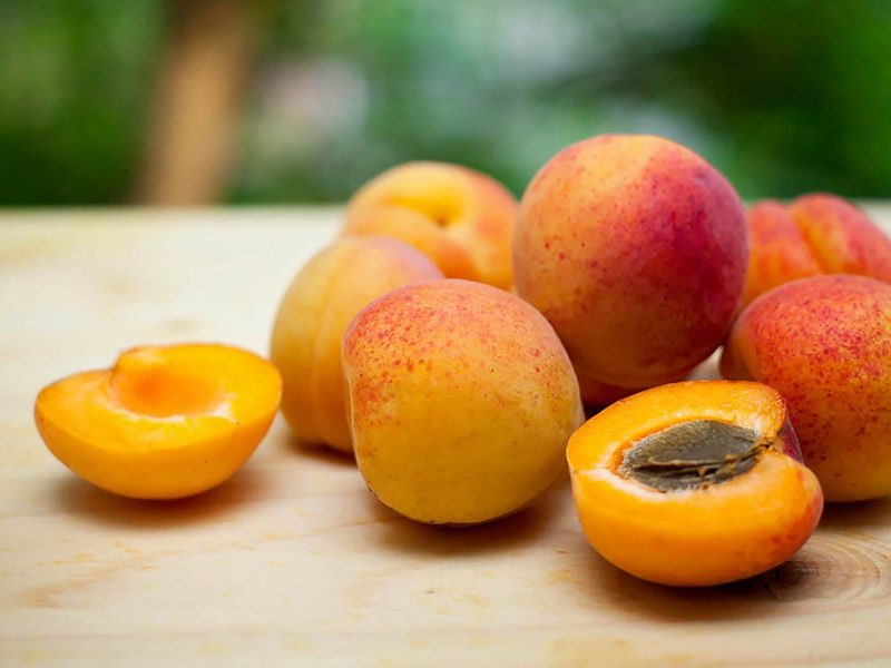 apricot benefits