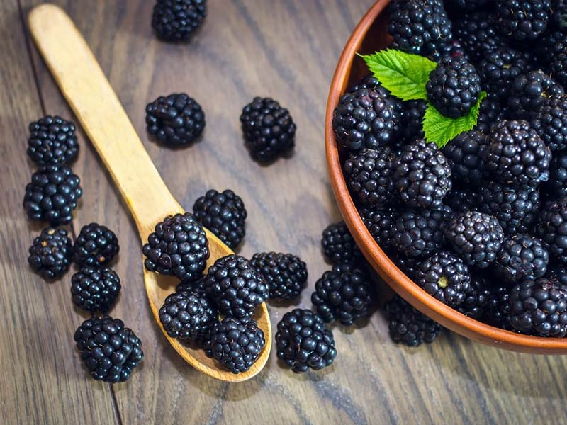 benefits of blackberry