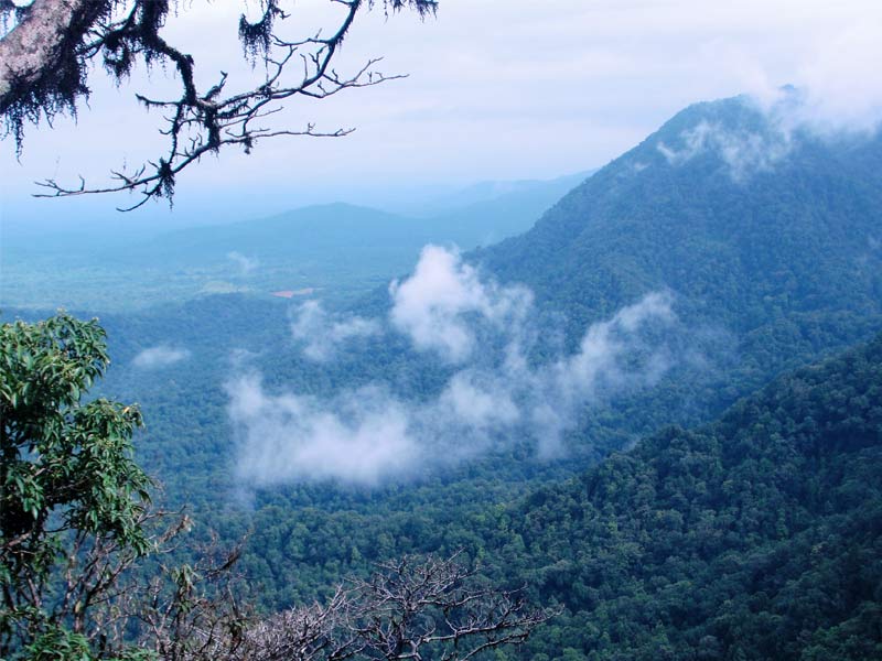 agumbe