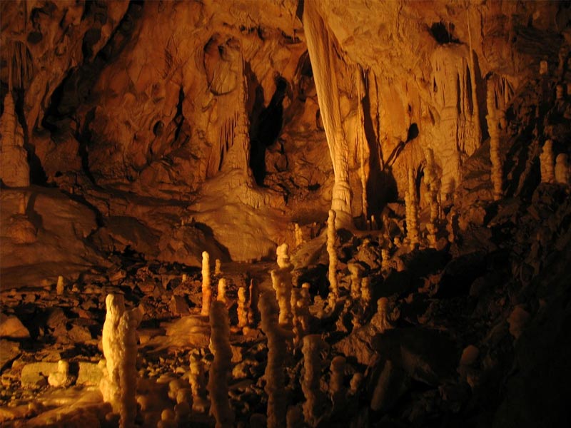 bear's cave