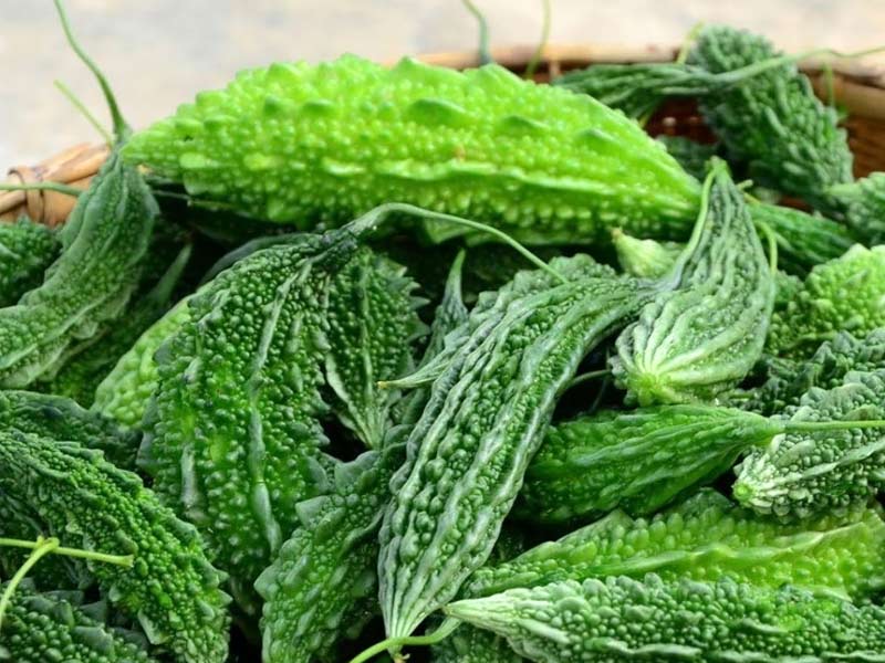 benefits of karela