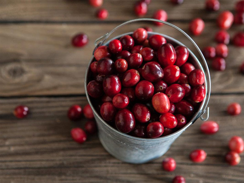 benefits of cranberry