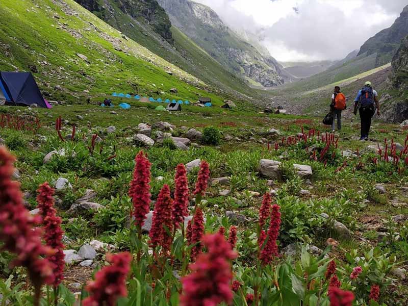 hampta pass trekking