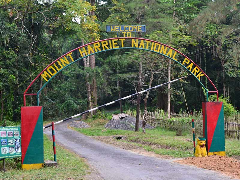 mount harrier and madhuban