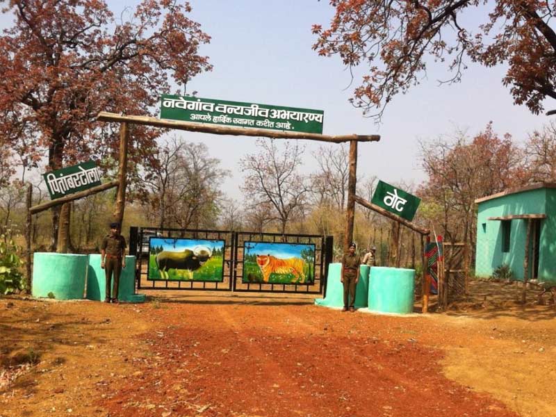 navegaon national park