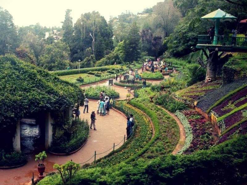 rose garden