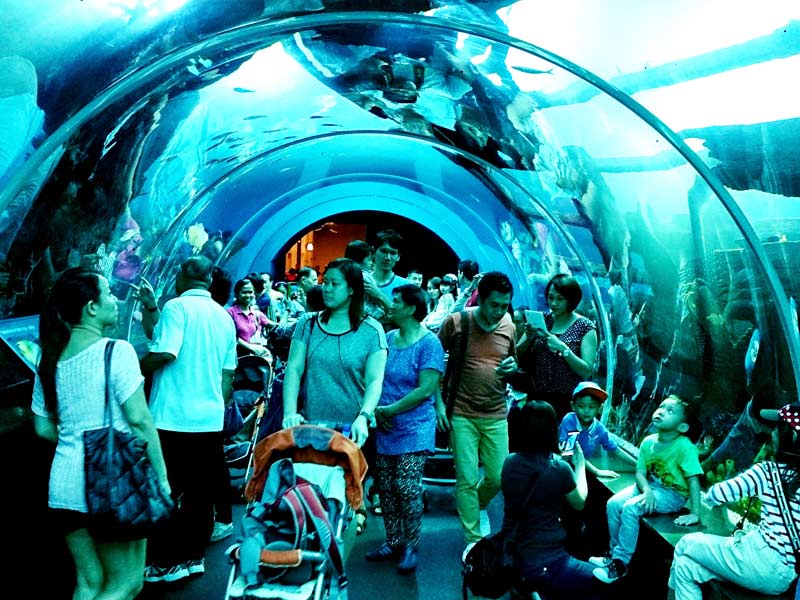 SEA Aquarium