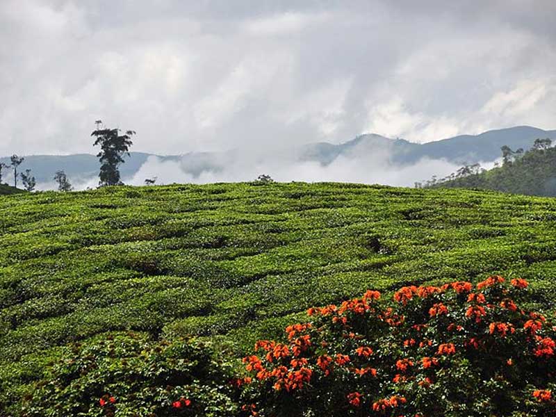thekkady