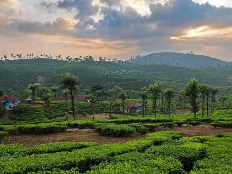 valaparai