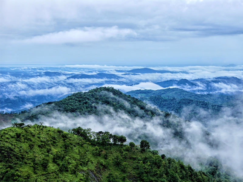 wayanwad