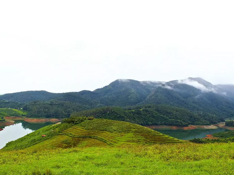 bandipur national park