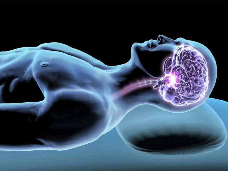 brain works in sleep